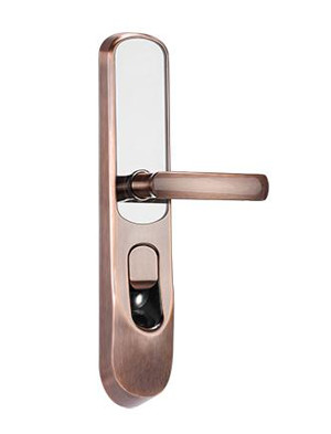 指紋密碼卡鎖DS-L2-FCP